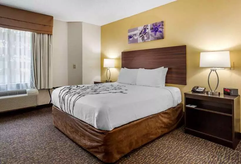 Отель Sleep Inn Henderson I 85