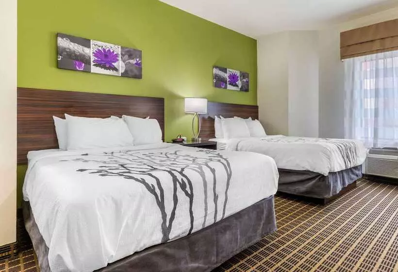 בית מלון כפרי Sleep Inn Orangeburg