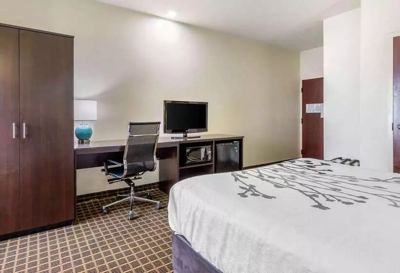 בית מלון כפרי Sleep Inn Orangeburg