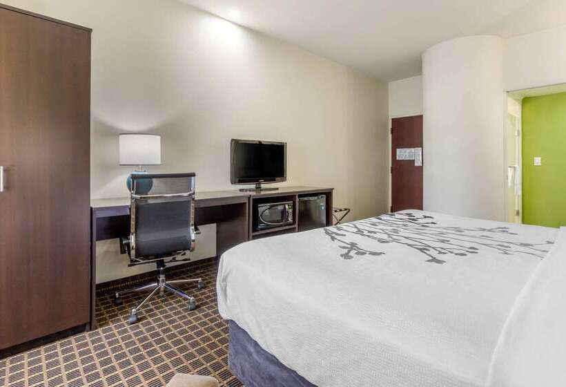 酒店 Sleep Inn Orangeburg