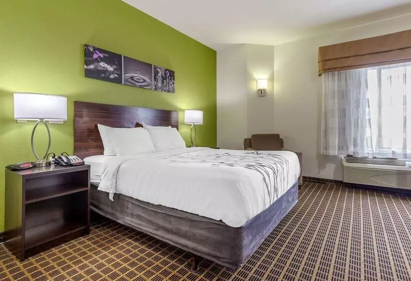 בית מלון כפרי Sleep Inn Orangeburg