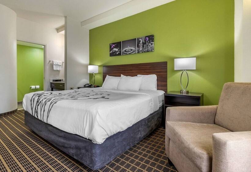 酒店 Sleep Inn Orangeburg