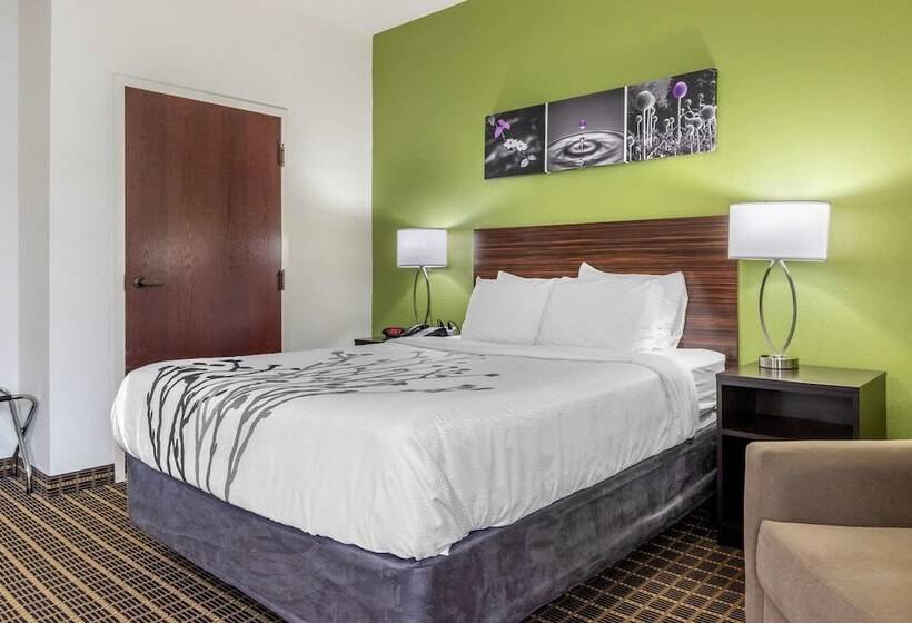 酒店 Sleep Inn Orangeburg