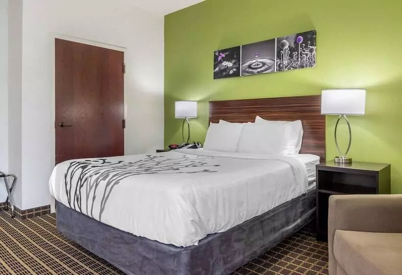 בית מלון כפרי Sleep Inn Orangeburg