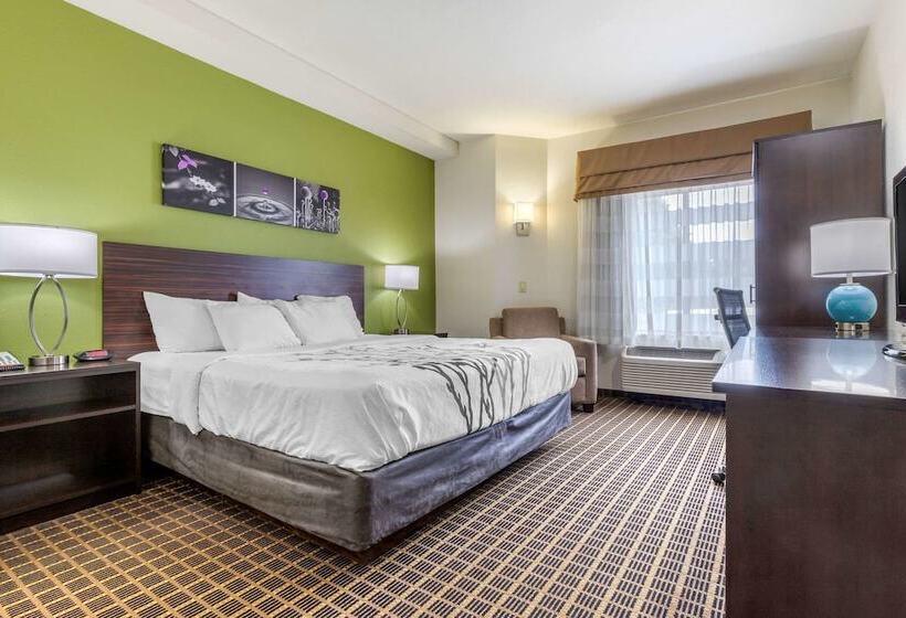 酒店 Sleep Inn Orangeburg