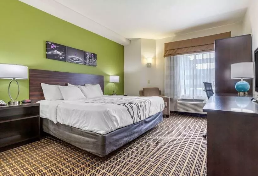 בית מלון כפרי Sleep Inn Orangeburg