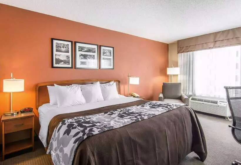 ホテル Spark By Hilton Fredericksburg Southpoint