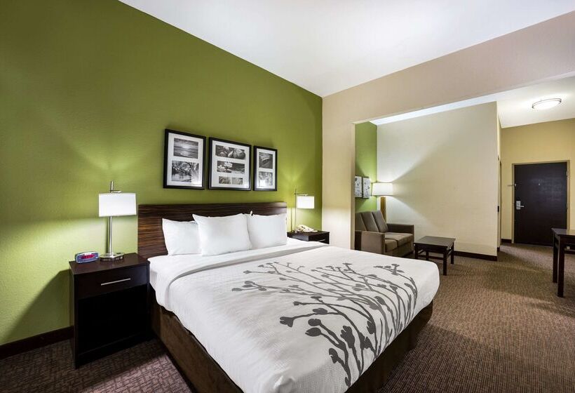 هتل Sleep Inn & Suites