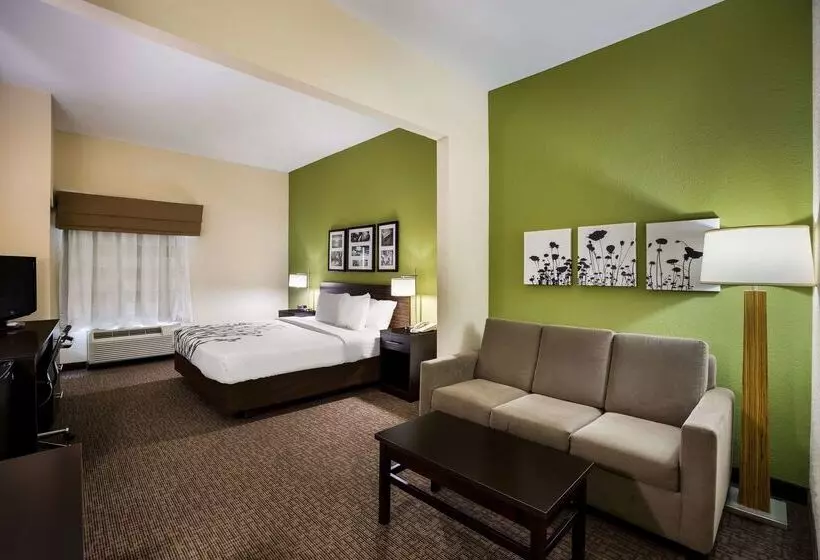 호텔 Sleep Inn & Suites