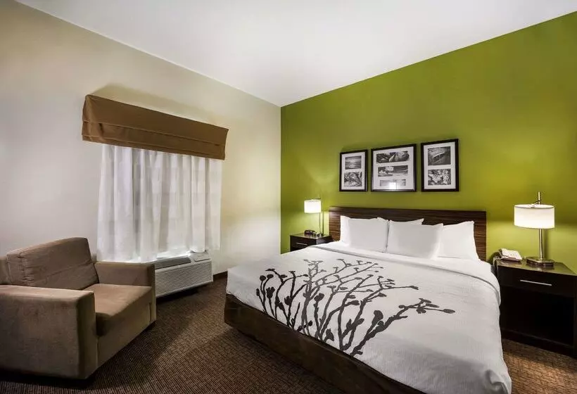 호텔 Sleep Inn & Suites