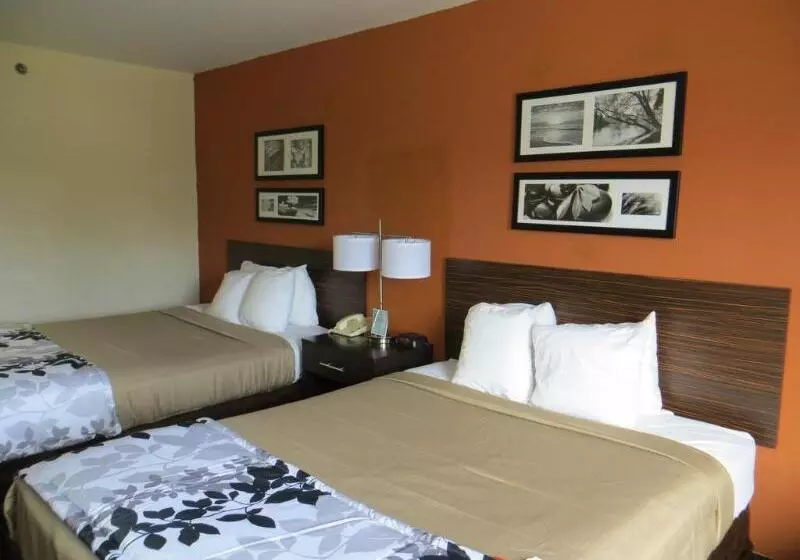 호텔 Sleep Inn & Suites