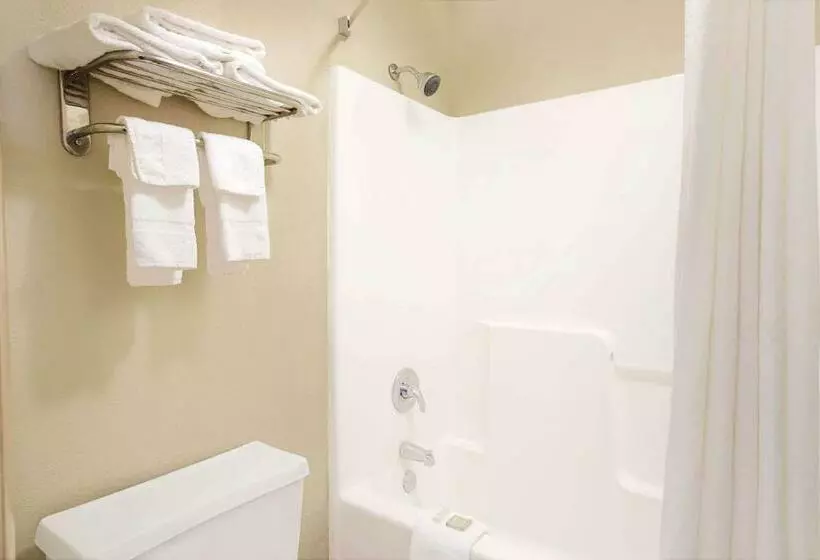 ホテル Super 8 By Wyndham Charlotte Downtown Area