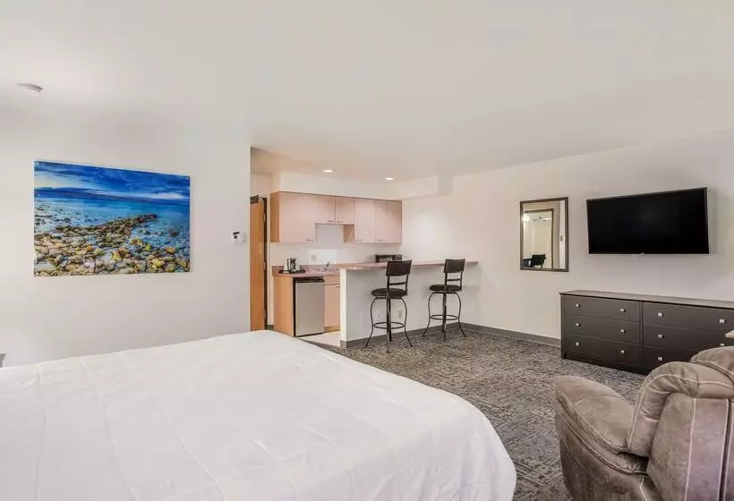 汽车旅馆 Americas Best Value Inn & Suites Birch Run