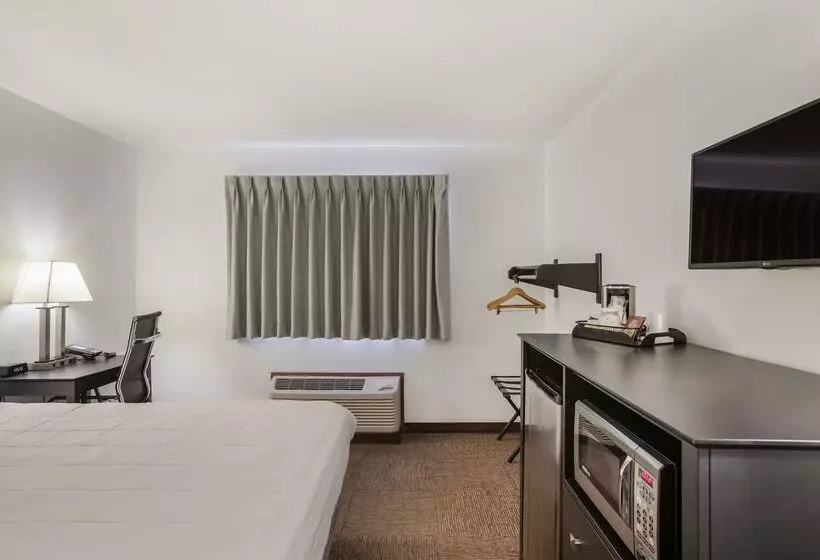 汽车旅馆 Americas Best Value Inn & Suites Birch Run