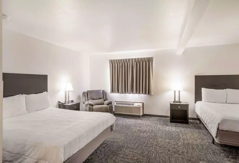 汽车旅馆 Americas Best Value Inn & Suites Birch Run