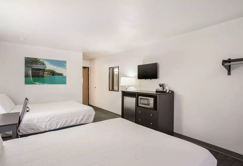 汽车旅馆 Americas Best Value Inn & Suites Birch Run