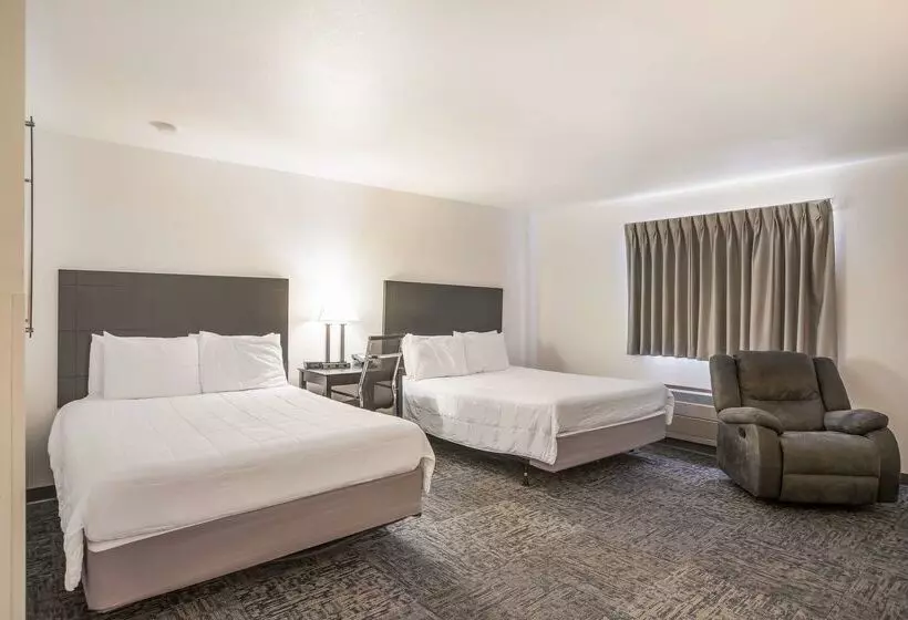 汽车旅馆 Americas Best Value Inn & Suites Birch Run