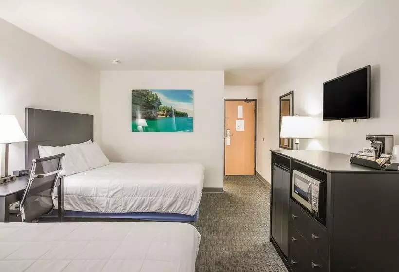 汽车旅馆 Americas Best Value Inn & Suites Birch Run