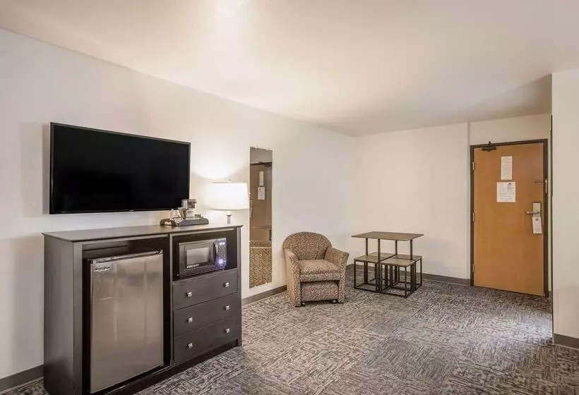 汽车旅馆 Americas Best Value Inn & Suites Birch Run