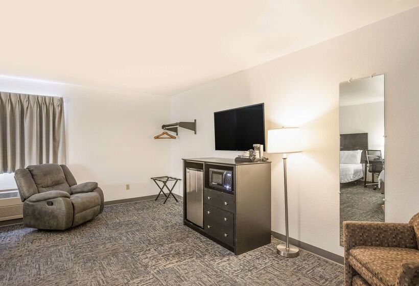 Motel Americas Best Value Inn & Suites Birch Run