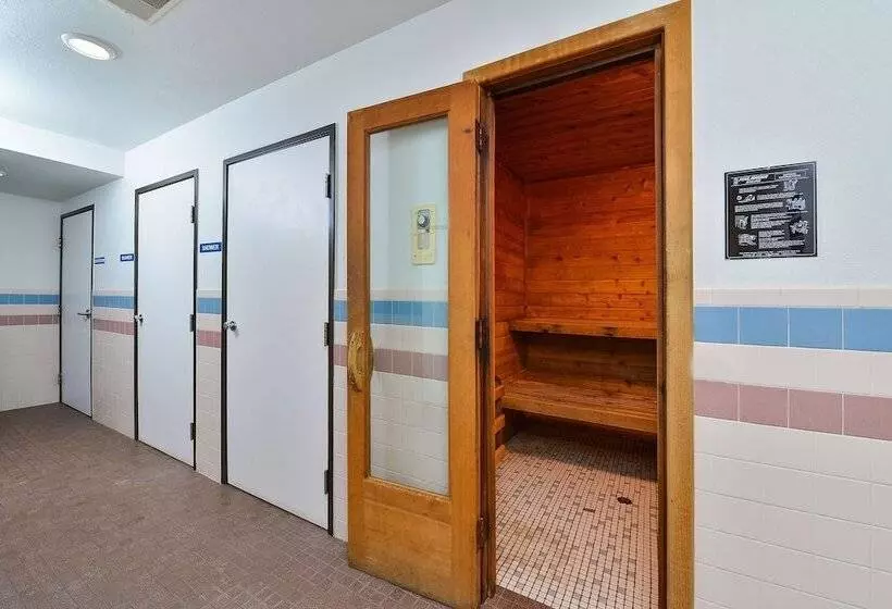 汽车旅馆 Americas Best Value Inn & Suites Birch Run