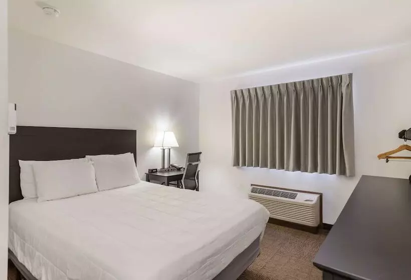 汽车旅馆 Americas Best Value Inn & Suites Birch Run