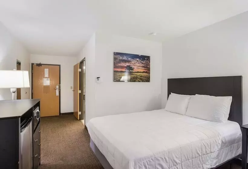 汽车旅馆 Americas Best Value Inn & Suites Birch Run