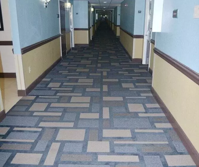 모텔 Best Western Mulberry