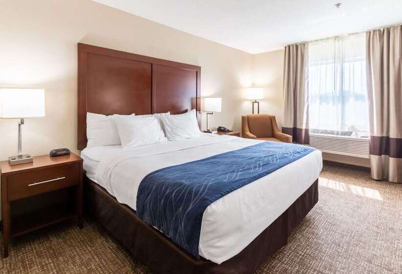 מוטל Comfort Inn Lehi  Thanksgiving Point Area
