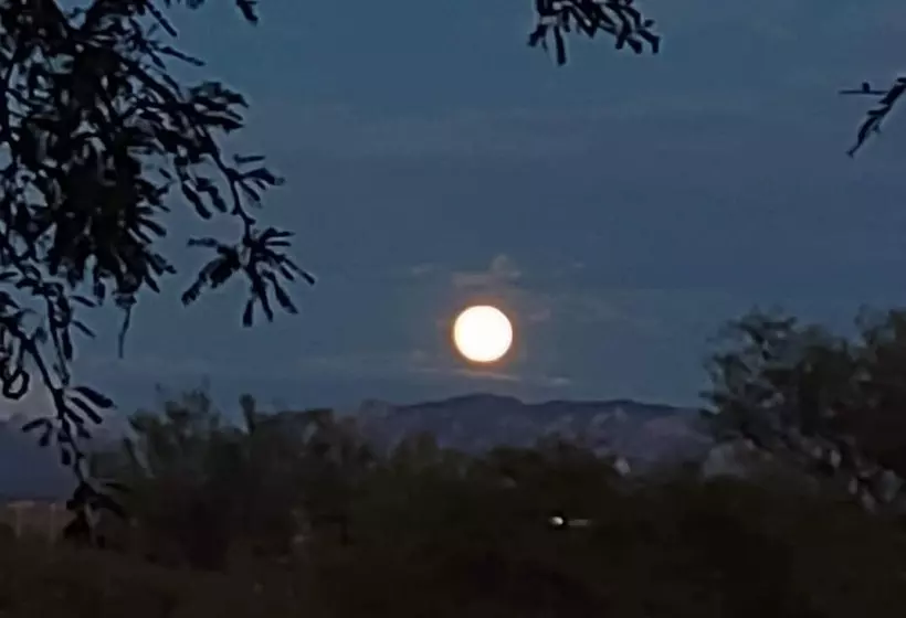 Motel Copper Stay Inn Benson Az I 10 Exit 304