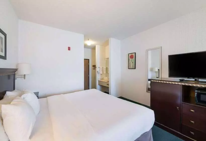 מוטל Rodeway Inn Urbana Champaign University Area