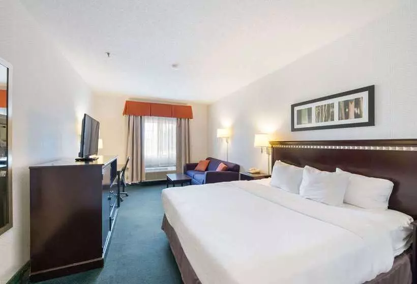 מוטל Rodeway Inn Urbana Champaign University Area