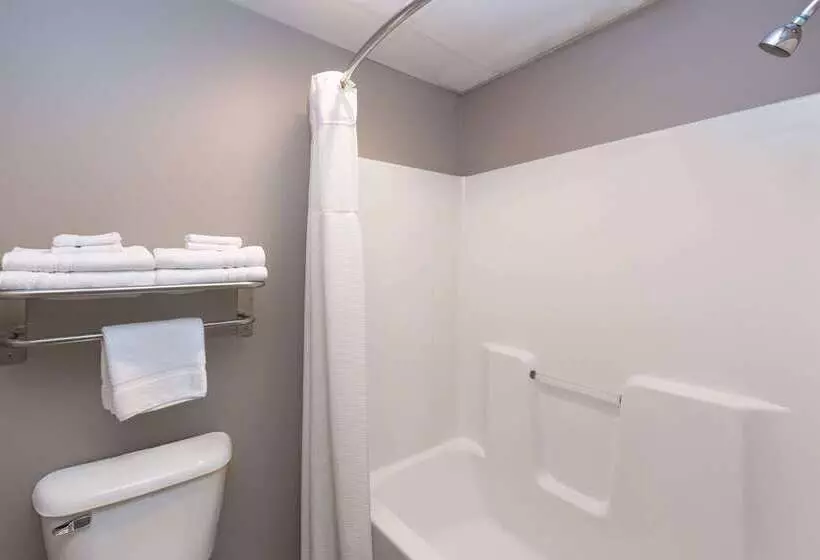 汽车旅馆 Super 8 By Wyndham Carroll/east