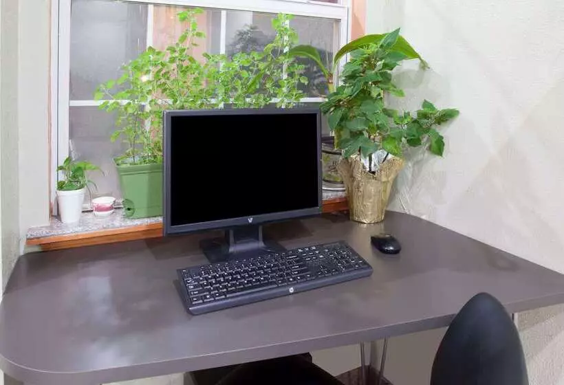 汽车旅馆  Super 8 By Wyndham Chickasha