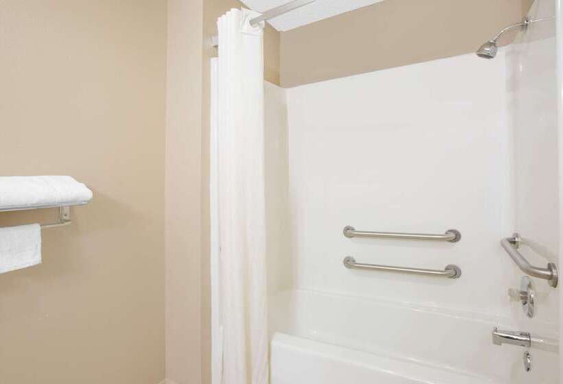 汽车旅馆 Super 8 By Wyndham Talladega Al