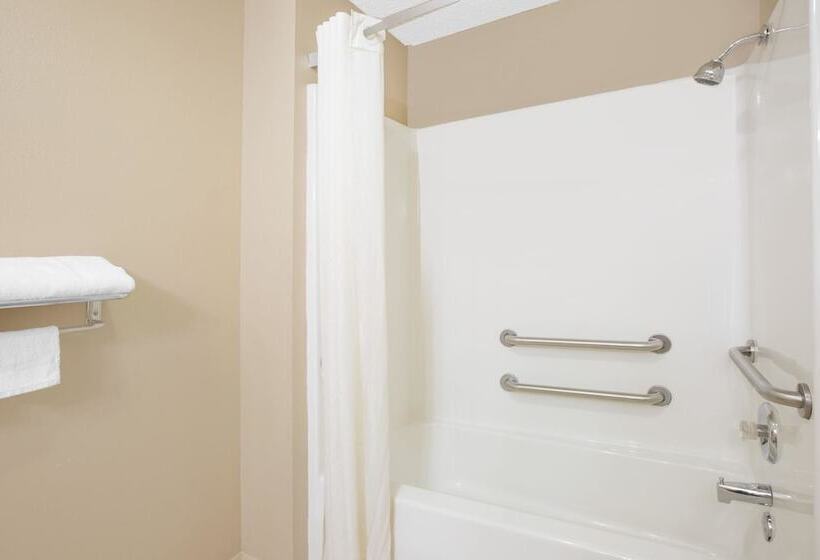 汽车旅馆 Super 8 By Wyndham Talladega Al