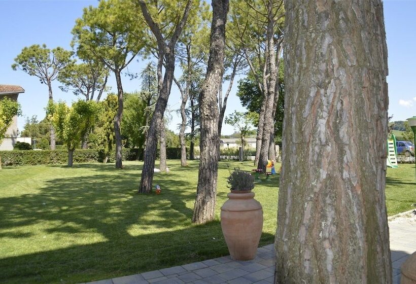 Ausonia Hotel Ristorante