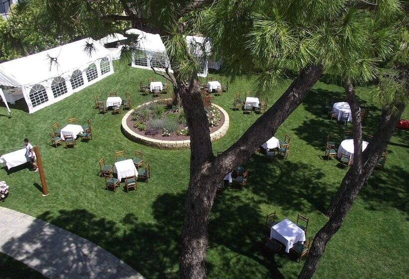 Ausonia Hotel Ristorante