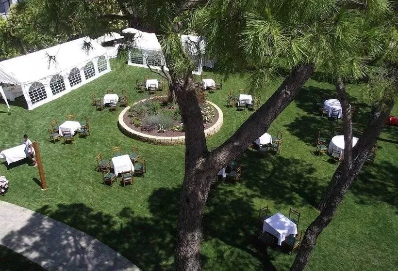 Ausonia Hotel Ristorante