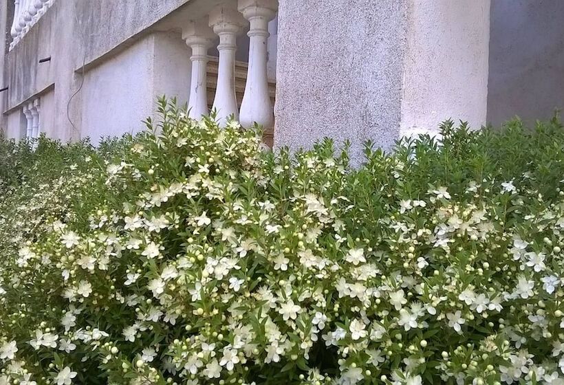 مبيت وإفطار Agriturismo Vemi