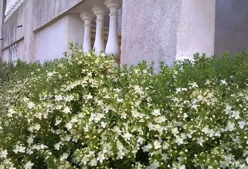 Aamiaismajoitus (B&B) Agriturismo Vemi