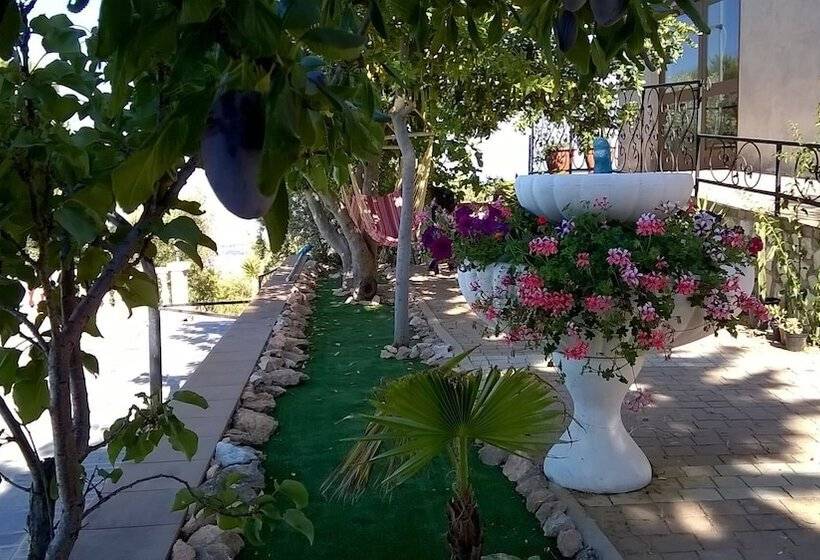 مبيت وإفطار Agriturismo Vemi