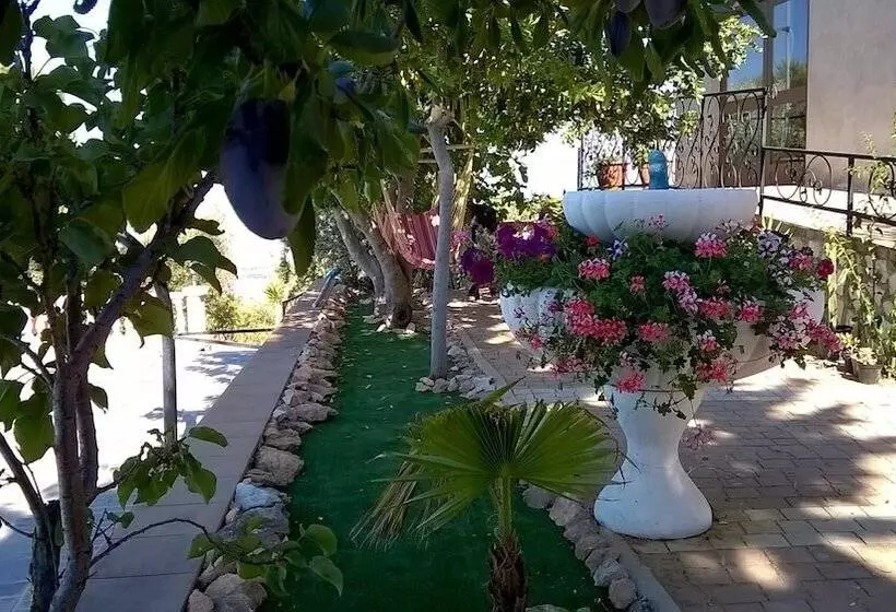 Aamiaismajoitus (B&B) Agriturismo Vemi