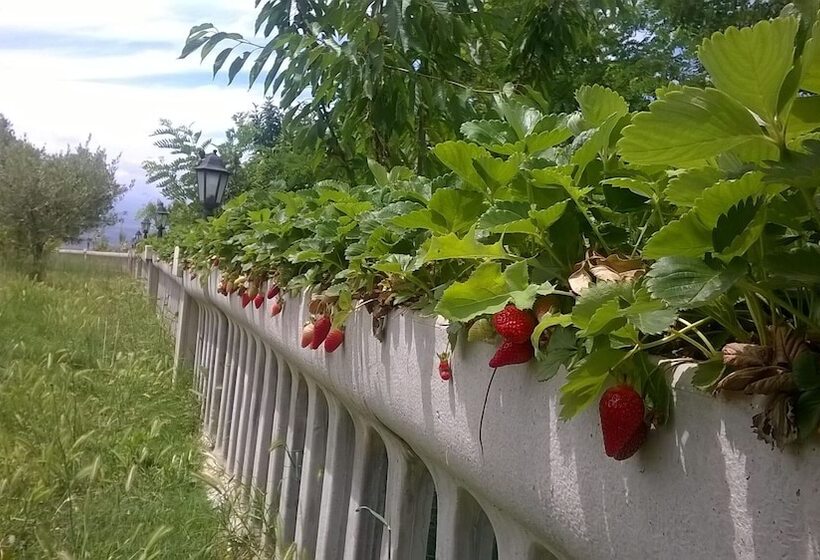 مبيت وإفطار Agriturismo Vemi