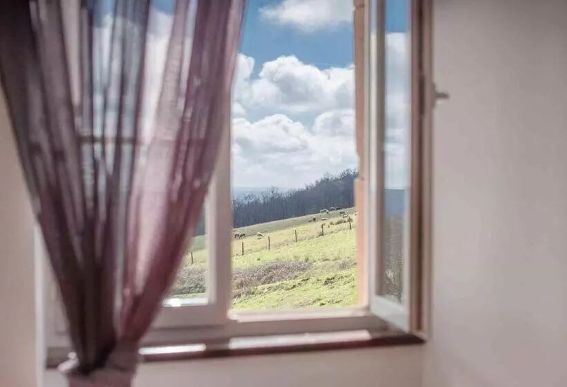 ベッドアンドブレックファースト Chambres D Hôtes Le Pignié