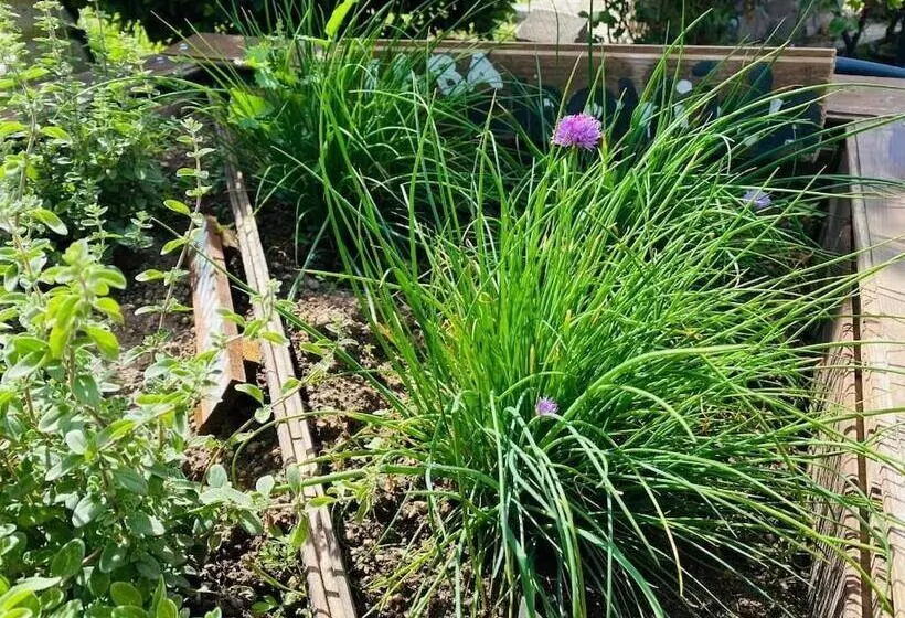 ベッドアンドブレックファースト Il Nuraghe Del Lago Coghinas