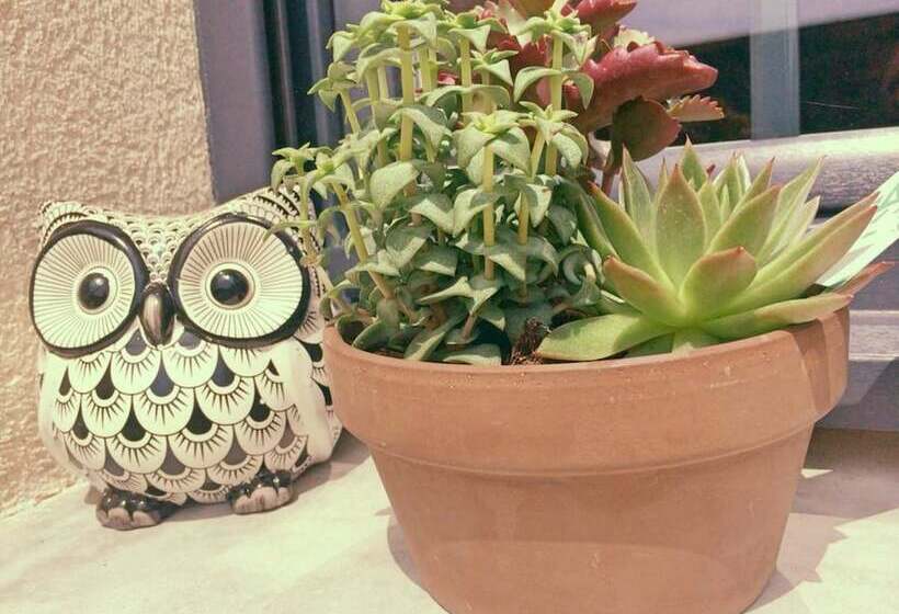 Bed and Breakfast La Ferme D Antan