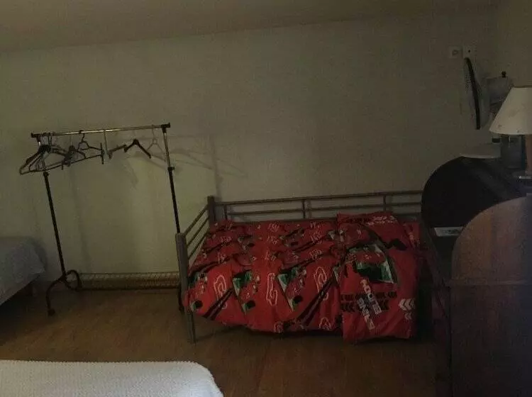 ベッドアンドブレックファースト Le Palmyre Soleil De L'amazonie