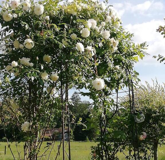 Bed and Breakfast Maison Du Cheval