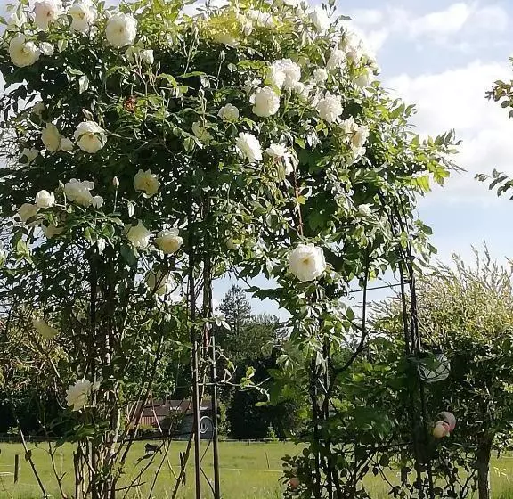 ベッドアンドブレックファースト Maison Du Cheval